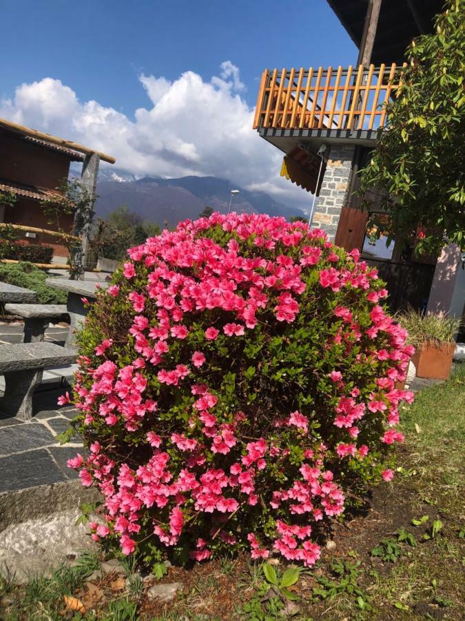 Bed and Breakfast Al Grottino Gambarogno Esterno foto