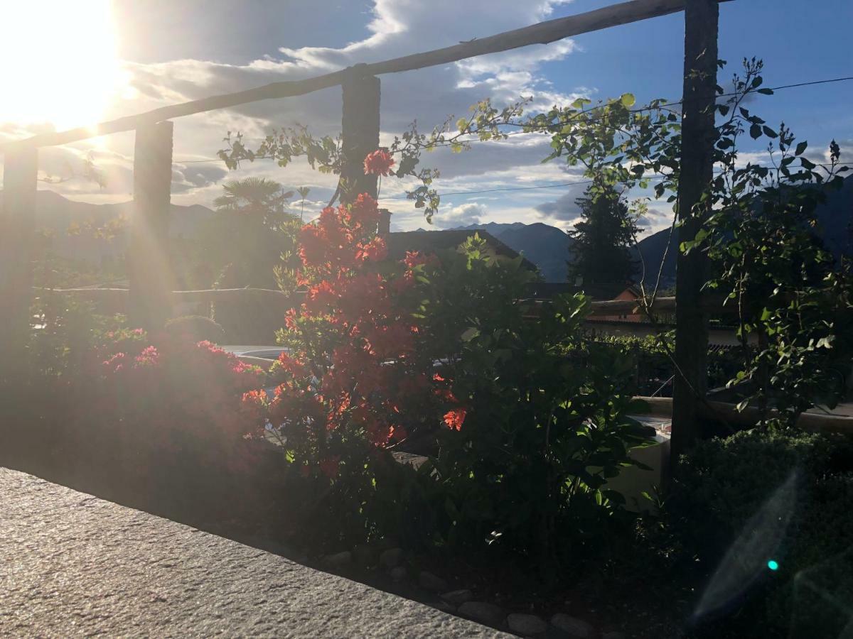 Bed and Breakfast Al Grottino Gambarogno Esterno foto